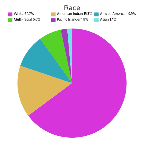 chart13 - Youth On Their Own